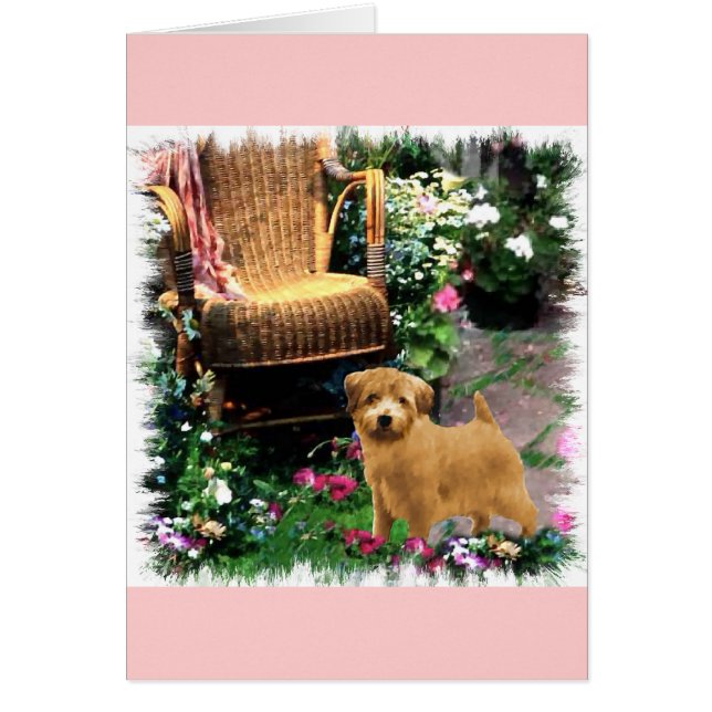 Norfolk Terrier Kunst Cadeaus (Voorkant)