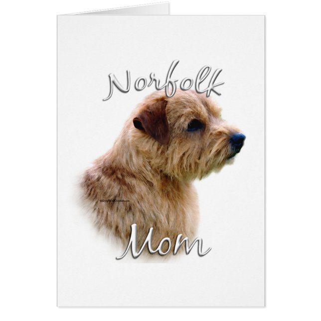 Norfolk Terrier Ma 2 (Voorkant)