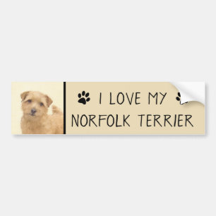 Norfolk Terrier Painting - Original Dog Art Bumpersticker