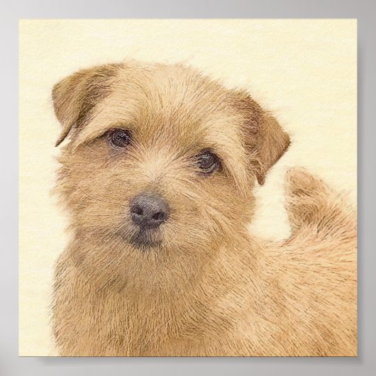 Norfolk Terrier Painting - Original Dog Art Poster (Voorkant)