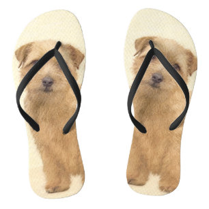 Norfolk Terrier Painting - Original Dog Art Teenslippers