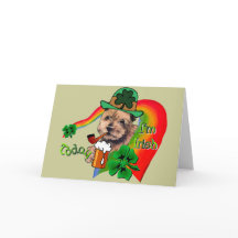 Norfolk Terrier St Patricks