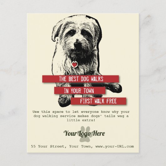Norfolk Terrier Trendy Dog Walking Flyer (Voorkant)