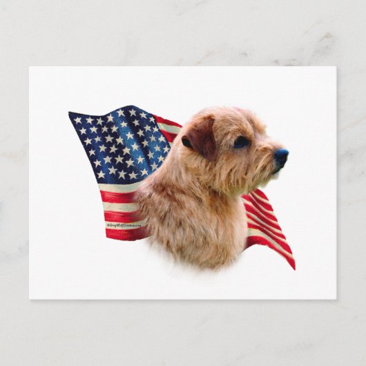 Norfolk Terrier Vlag Briefkaart (Voorkant)
