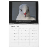 Norfolk (UK) Coastal Wildlife kalender 2018 (Feb 2027)