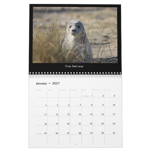 Norfolk (UK) Coastal Wildlife kalender 2018 (Jan 2027)