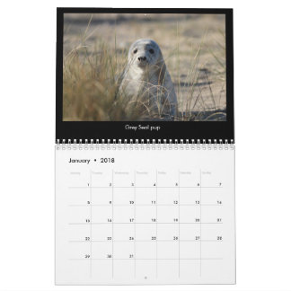 Norfolk (UK) Coastal Wildlife kalender 2018