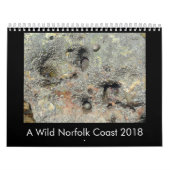 Norfolk (UK) Coastal Wildlife kalender 2018 (Hoes)