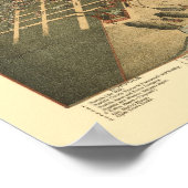 Norfolk, VA Panoramic Map - 1891 Poster (Hoek)