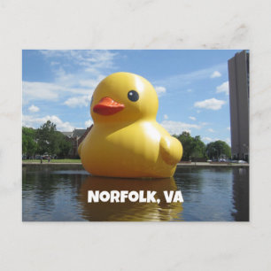 Norfolk, Virginia (Duck) Briefkaart