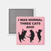 Normaal drie katten geleden Grappig koelkast magne Magneet (Voorkant / Achterkant)