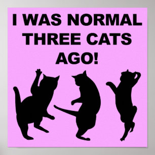 Normaal Drie Katten Geleden Grappige Poster Bord