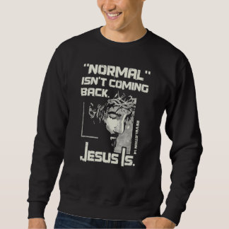 Normaal komt niet terug, maar Jezus is Jezus Trui