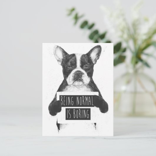 Normaal zijn is saai briefkaart (Staand voorkant)