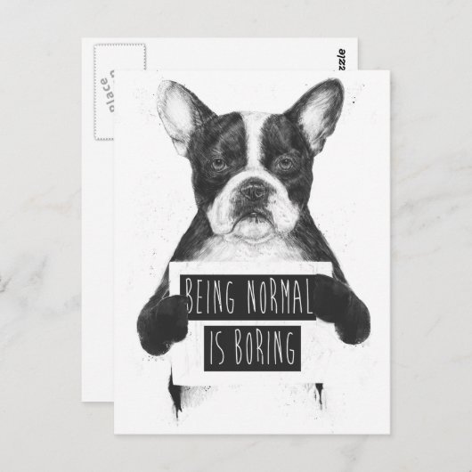 Normaal zijn is saai briefkaart (Voorkant / Achterkant)