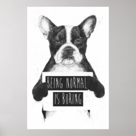 Normaal zijn is saai poster