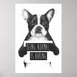 Normaal zijn is saai poster