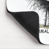 Normal Is Boring Funny Cat Graphic Tee Men Women  Muismat (Hoek)