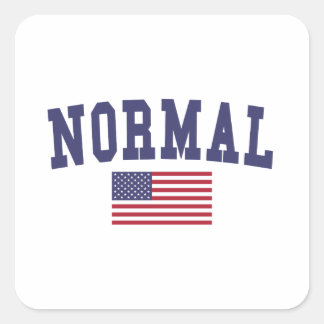 Normale Amerikaanse vlag Vierkante Sticker