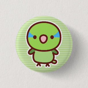 Normale mannelijke Pacifische dwergpapegaai Ronde Button 3,2 Cm