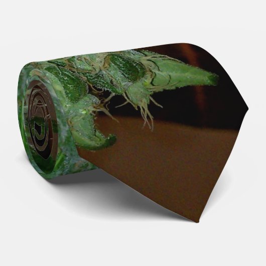 normaliteit stropdas (Opgerold)