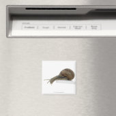 Normalsnagel Magneet (Insitu (Vaatwasser))