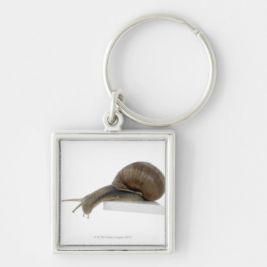 Normalsnagel Sleutelhanger (Voorkant)
