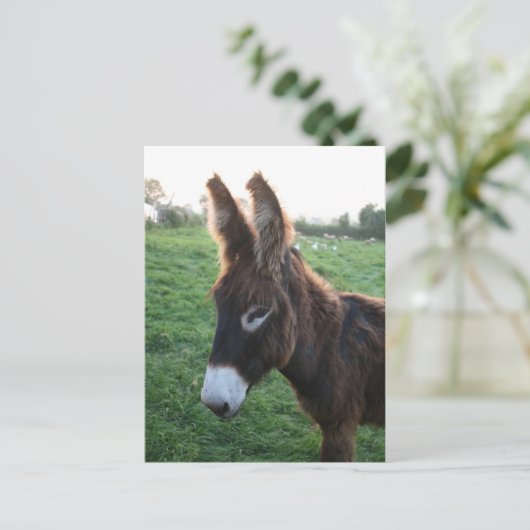 Normandië 2009 briefkaart (Staand voorkant)