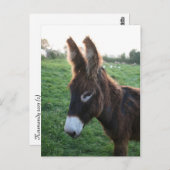 Normandië 2009 briefkaart (Voorkant / Achterkant)