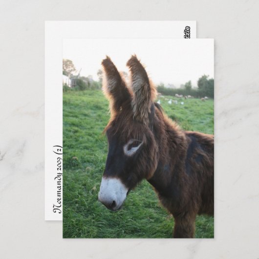 Normandië 2009 briefkaart (Voorkant / Achterkant)