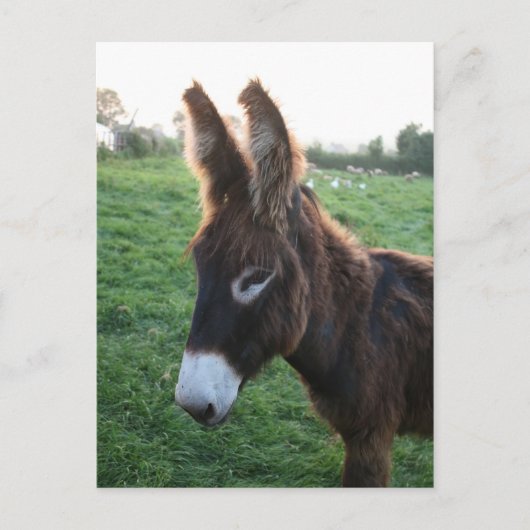 Normandië 2009 briefkaart (Voorkant)