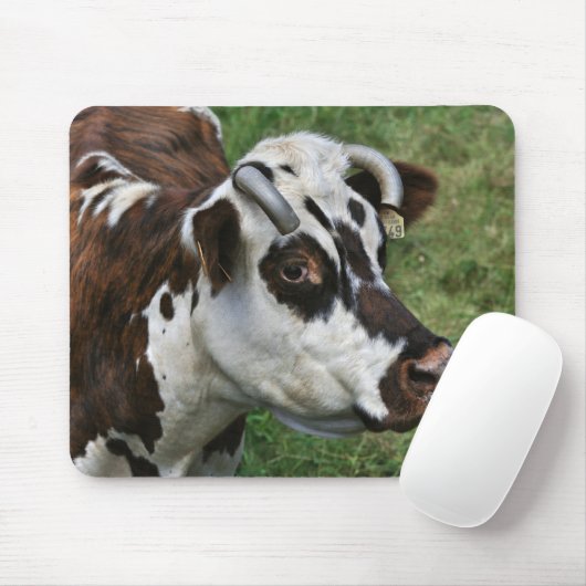Normandische koeienmousepad muismat (Met muis)