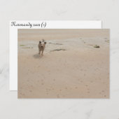 Normandy 2009 (1) briefkaart (Voorkant / Achterkant)