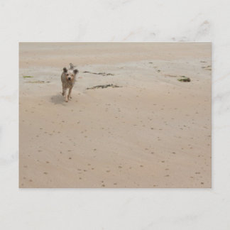 Normandy 2009 (1) briefkaart