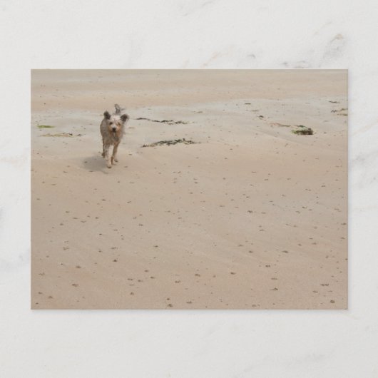 Normandy 2009 (1) briefkaart (Voorkant)