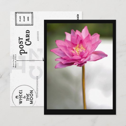 NORMAN'S LOTUS VISION BRIEFKAART (Voorkant / Achterkant)