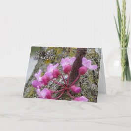 Noroez, Redbud Tree in Bloom, Lente Foto Kaart