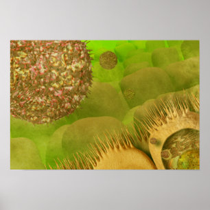 Norovirussen in het maagdarmkanaal poster