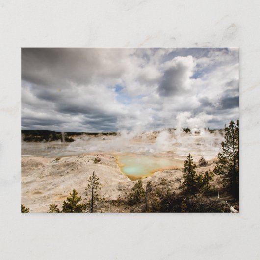 Norris Geyser Basin Yellowstone Briefkaart (Voorkant)