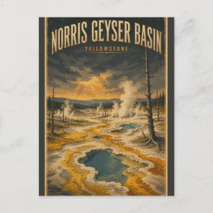 Norris Geyser Basin Yellowstone National Park  Briefkaart