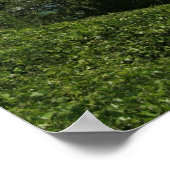 Norris Lake Print (Hoek)