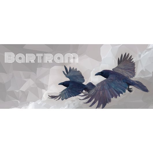 Norse Ravens Mythology Art - Huginn & Muninn - Koffiemok