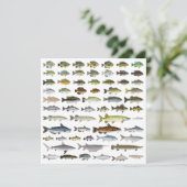North America Freshwater Fish Group Kaart (Staand voorkant)