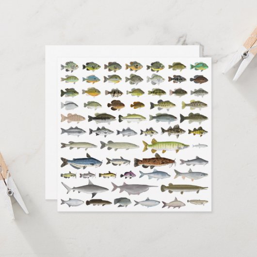 North America Freshwater Fish Group Kaart (Voorkant / Achterkant in situ)