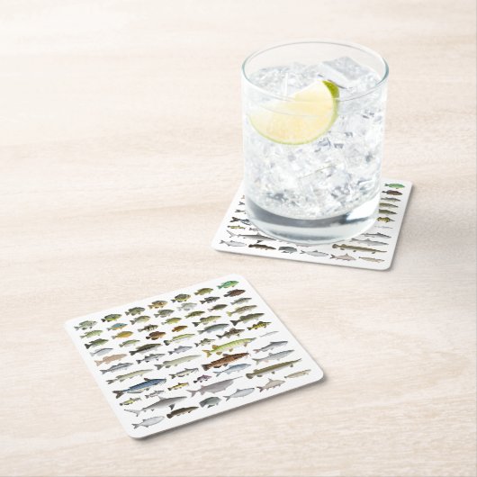 North America Freshwater Fish Group Kartonnen Onderzetters (Insitu)