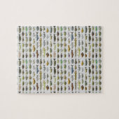 North America Freshwater Fish Group Legpuzzel (Horizontaal)