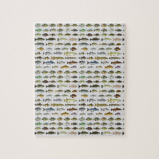 North America Freshwater Fish Group Legpuzzel (Verticaal)
