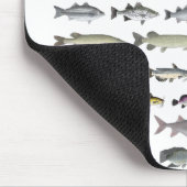 North America Freshwater Fish Group Muismat (Hoek)