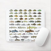 North America Freshwater Fish Group Muismat (Met muis)