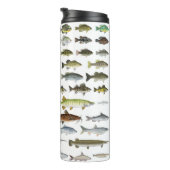 North America Freshwater Fish Group Thermosbeker (Geroteerd rechts)